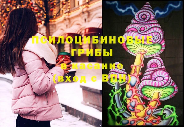 герыч Алексин