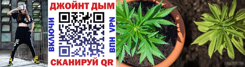 где купить наркоту  Заринск  Бошки марихуана OG Kush 